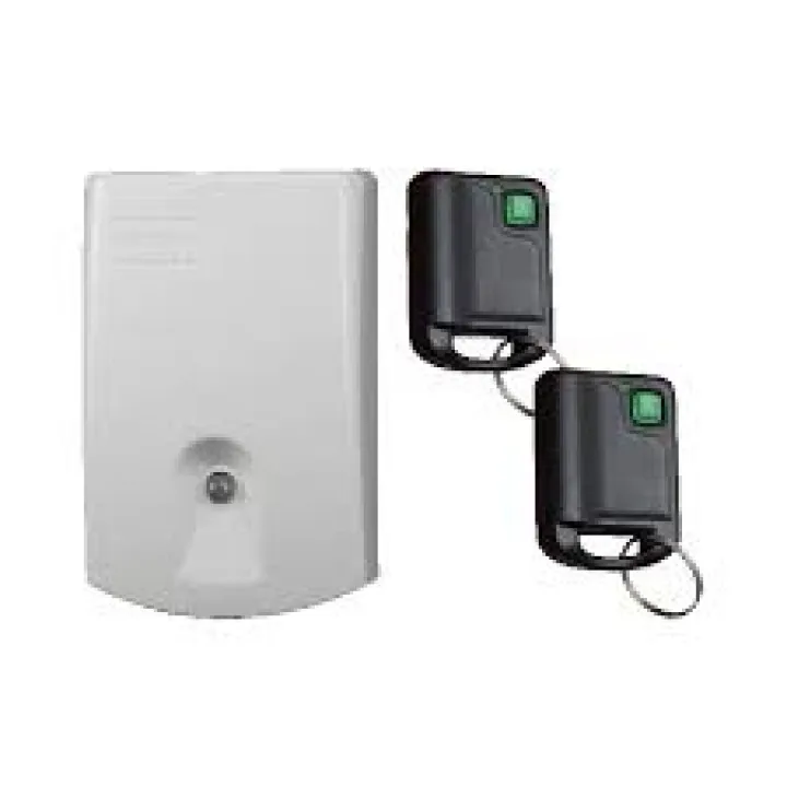 Set De Receptor Y 2 Remotos, 1 Canal De Transmision Hasta 100 Metros Con Baterias. - https://www.matcomsa.com.ar